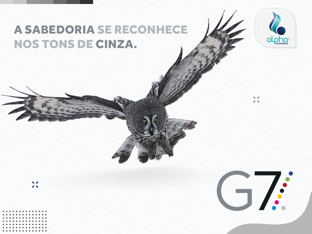 G7 controle de gris
