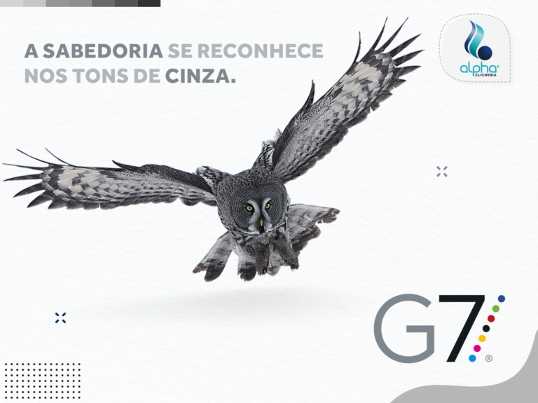 G7 controle de gris